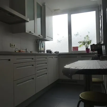 Atico Con Terraza En El Corazon De Διαμέρισμα Βίγκο